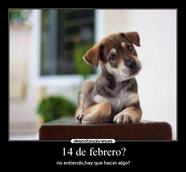 14 de febrero? -