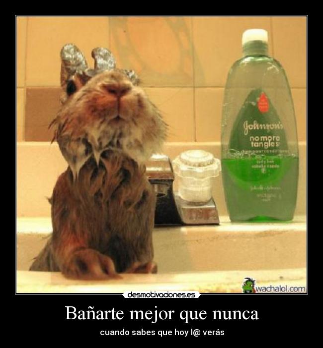Bañarte mejor que nunca - cuando sabes que hoy l@ verás