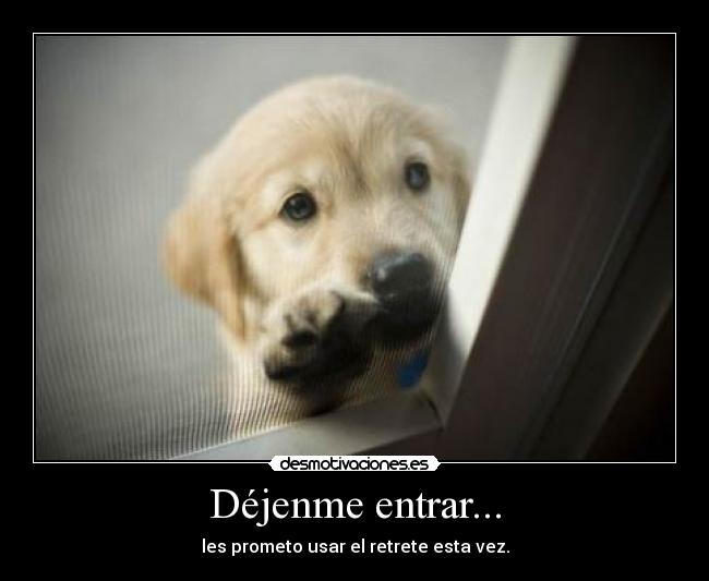 Déjenme entrar... - les prometo usar el retrete esta vez.