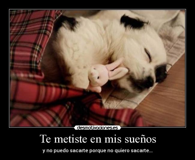 Te metiste en mis sueños - y no puedo sacarte porque no quiero sacarte...