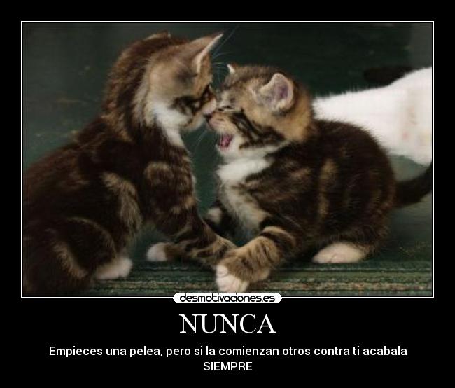 NUNCA -
