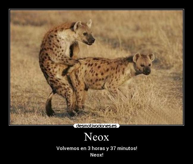 Neox - Volvemos en 3 horas y 37 minutos!
Neox!