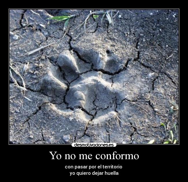 Yo no me conformo - 