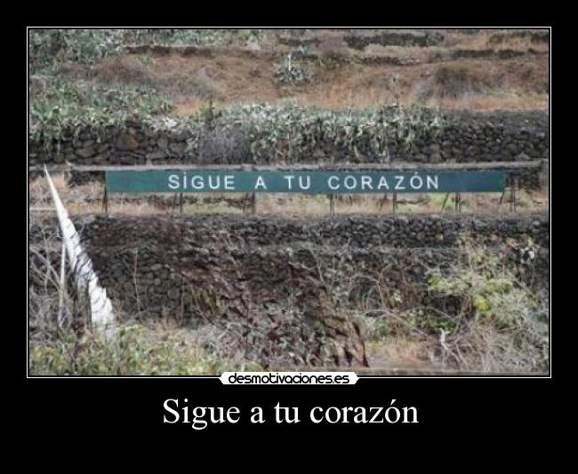 Sigue a tu corazón -