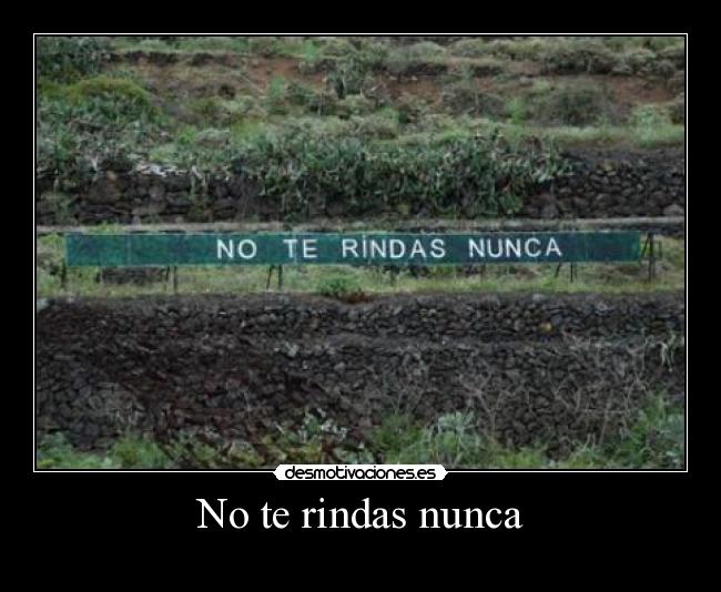 No te rindas nunca -