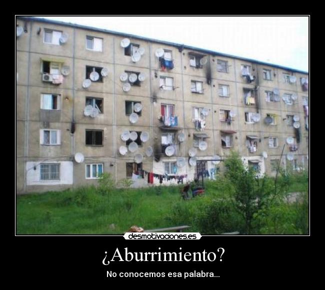¿Aburrimiento? -