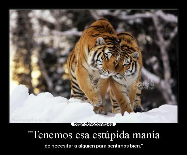 Tenemos esa estúpida manía - 