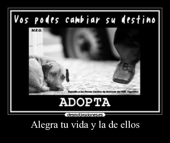 Alegra tu vida y la de ellos -