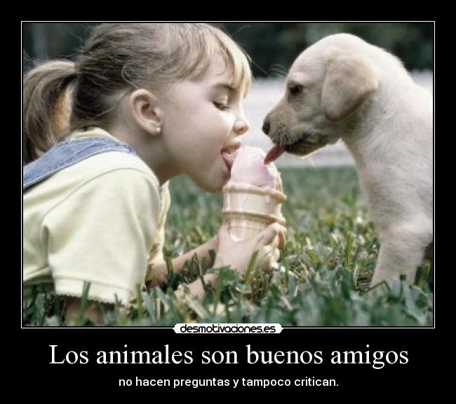 Los animales son buenos amigos - 