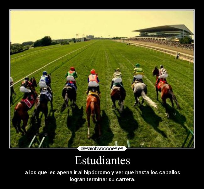 Estudiantes - a los que les apena ir al hipódromo y ver que hasta los caballos
logran terminar su carrera.