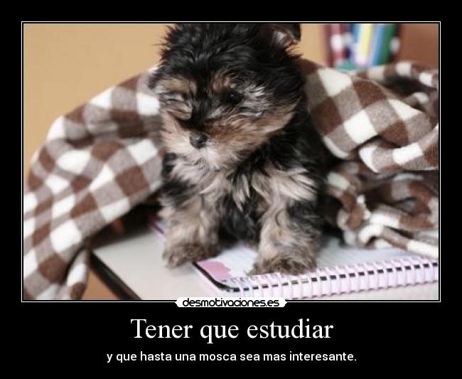 Tener que estudiar -
