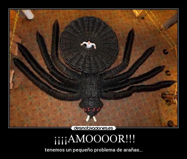 ¡¡¡¡AMOOOOR!!! - 