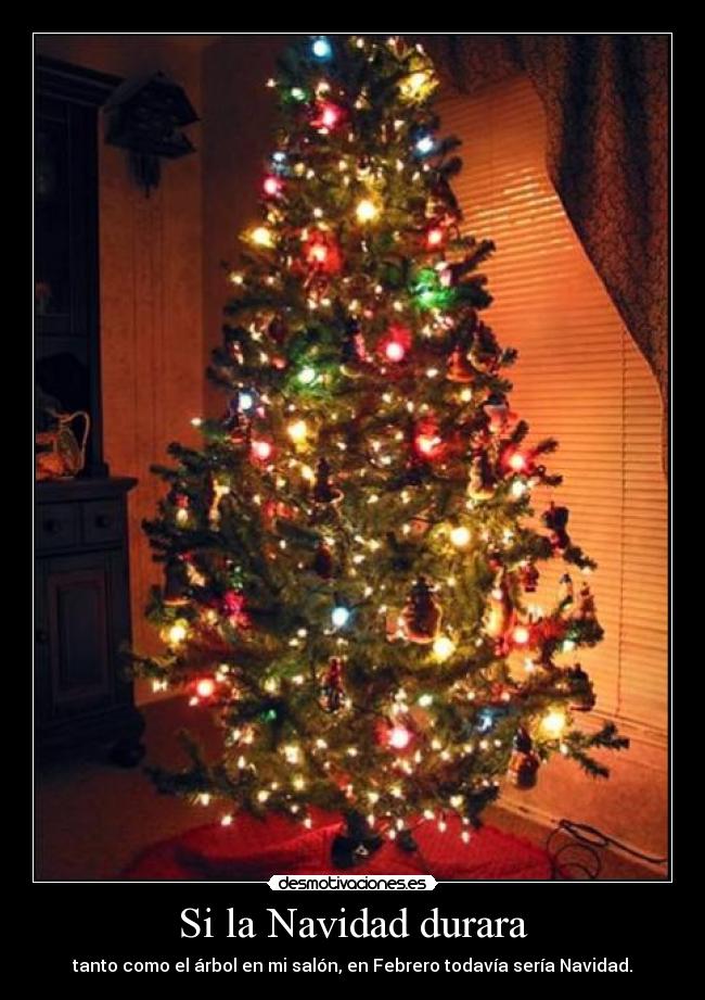 Si la Navidad durara - tanto como el árbol en mi salón, en Febrero todavía sería Navidad.