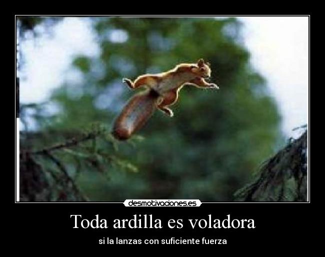 Toda ardilla es voladora - si la lanzas con suficiente fuerza
