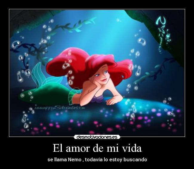 El amor de mi vida - se llama Nemo , todavía lo estoy buscando
