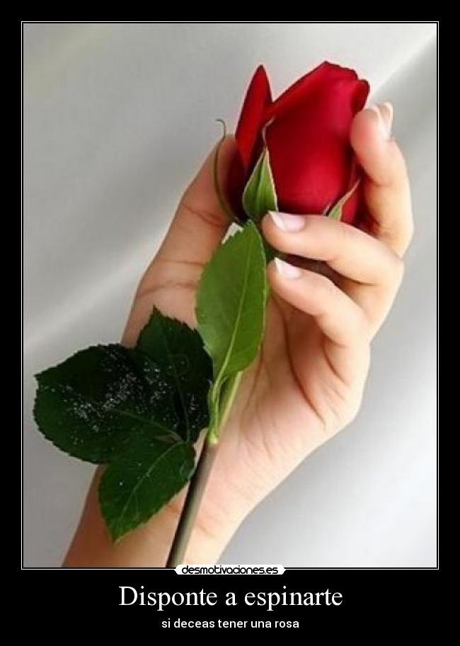 Disponte a espinarte -