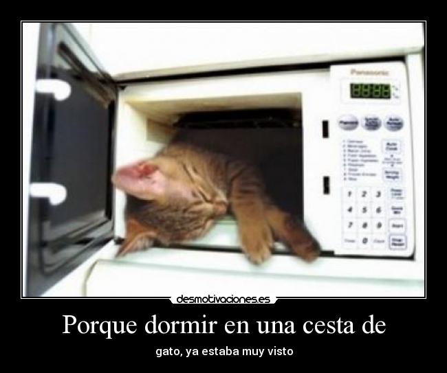 Porque dormir en una cesta de - 
