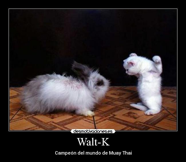 Walt-K - Campeón del mundo de Muay Thai