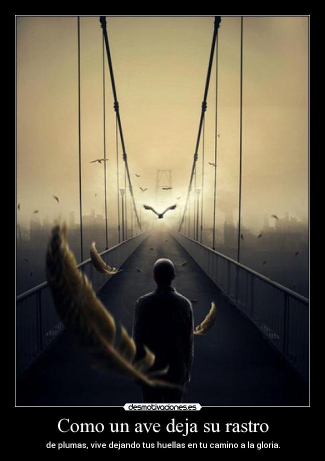 Como un ave deja su rastro -