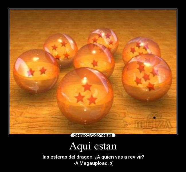 Aqui estan - las esferas del dragon, ¿A quien vas a revivir?
-A Megaupload. :(