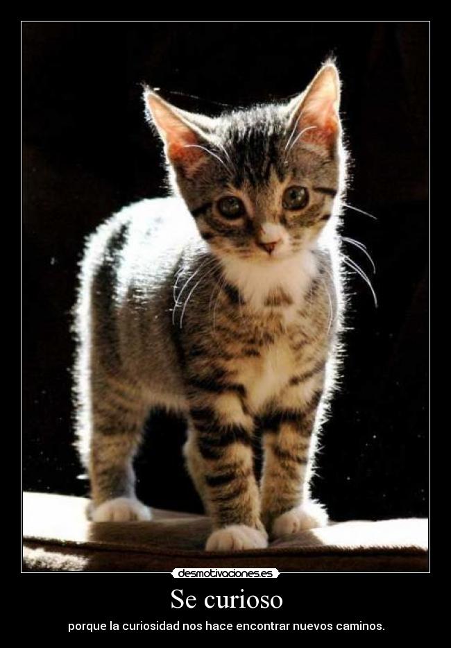Se curioso - porque la curiosidad nos hace encontrar nuevos caminos.