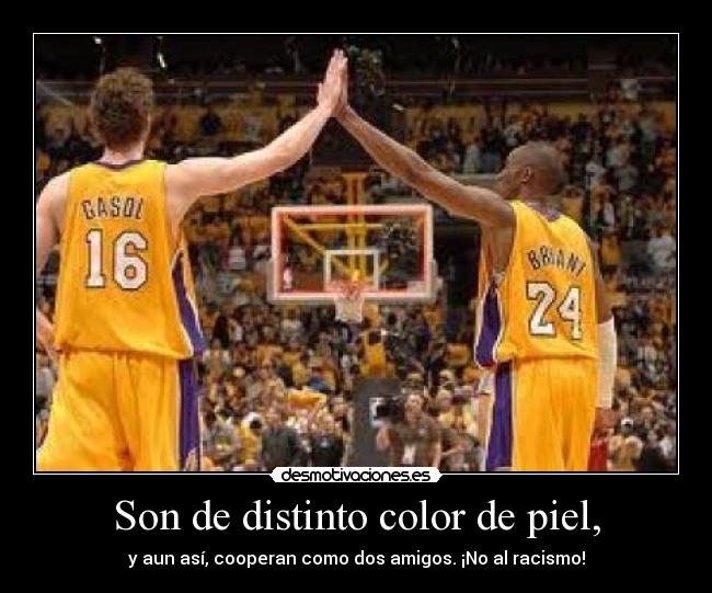 carteles pau kobe desmotivaciones