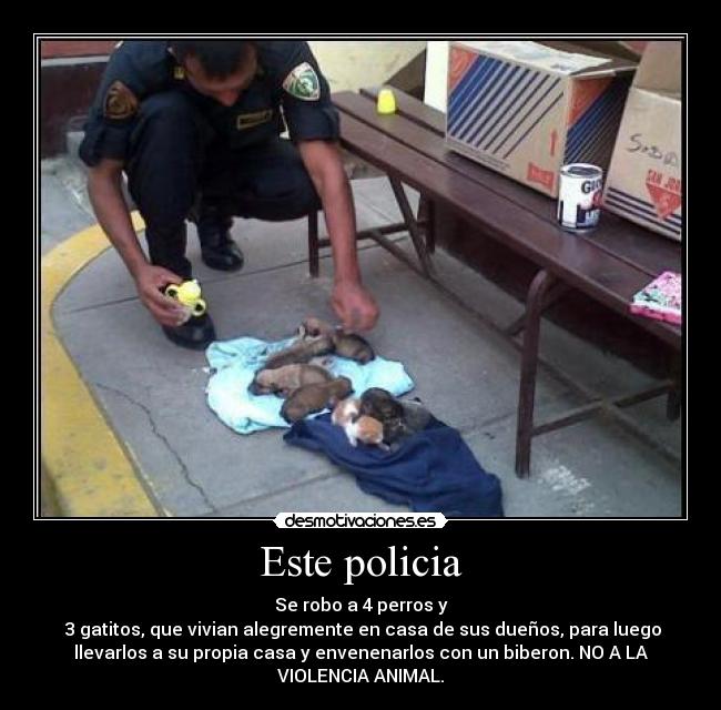 carteles violencia animal desmotivaciones