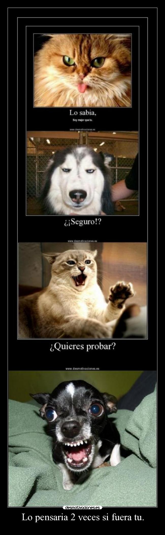 Lo pensaria 2 veces si fuera tu. -