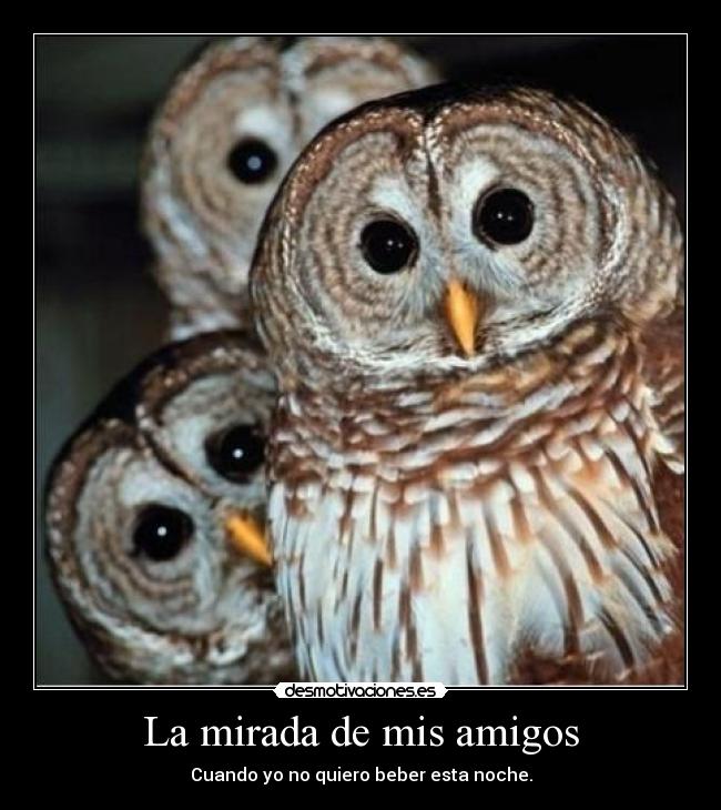 La mirada de mis amigos -