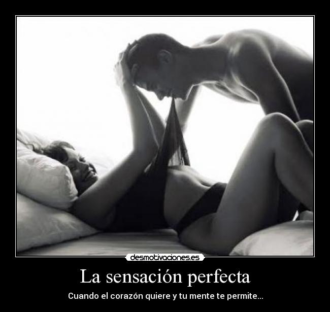 La sensación perfecta -
