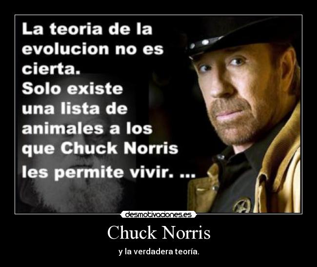 Chuck Norris -
