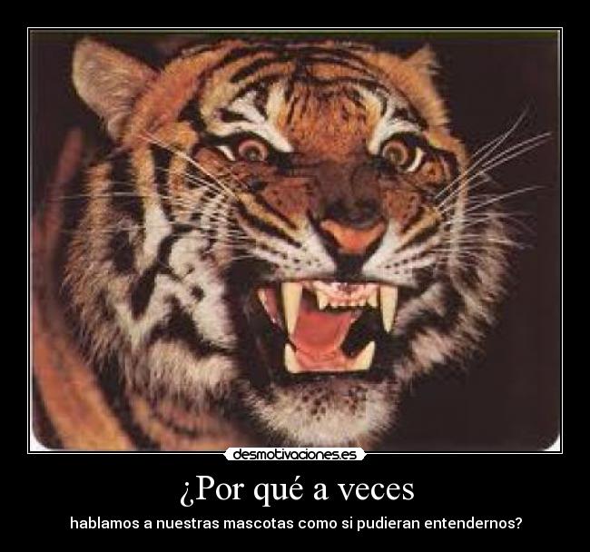 carteles tambien leo las etiketasjiji desmotivaciones