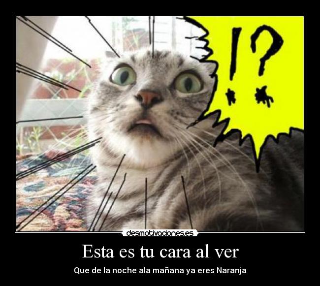 Esta es tu cara al ver - 