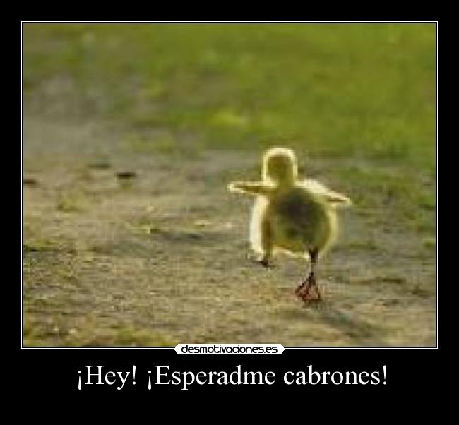 carteles esperadme desmotivaciones