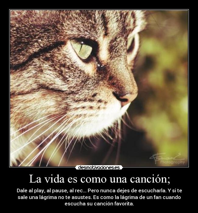 La vida es como una canción; - Dale al play, al pause, al rec... Pero nunca dejes de escucharla. Y si te
sale una lágrima no te asustes. Es como la lágrima de un fan cuando
escucha su canción favorita.