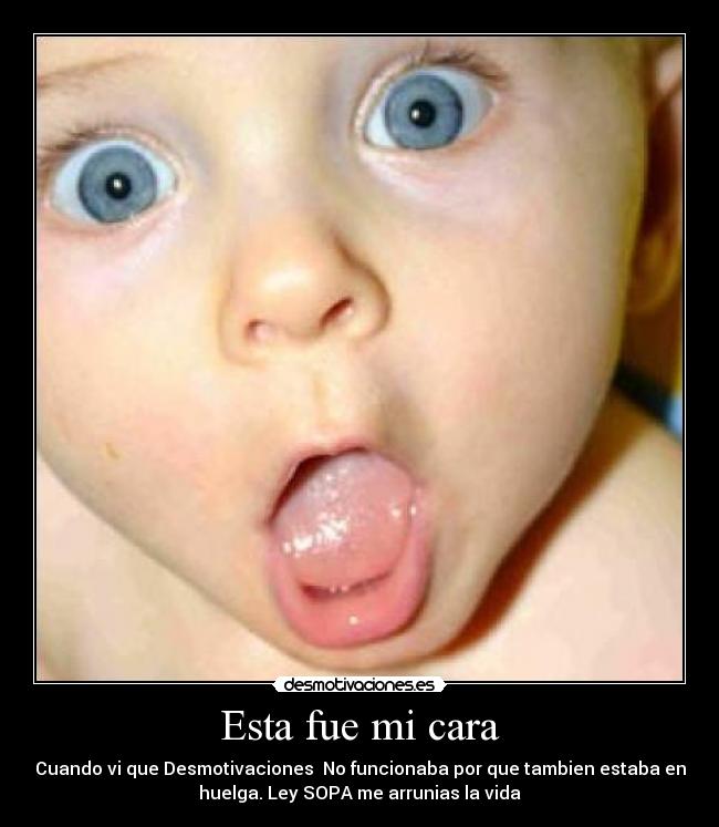 Esta fue mi cara - 
