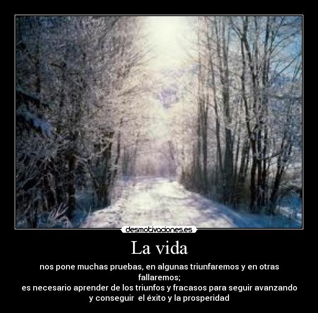 La vida -