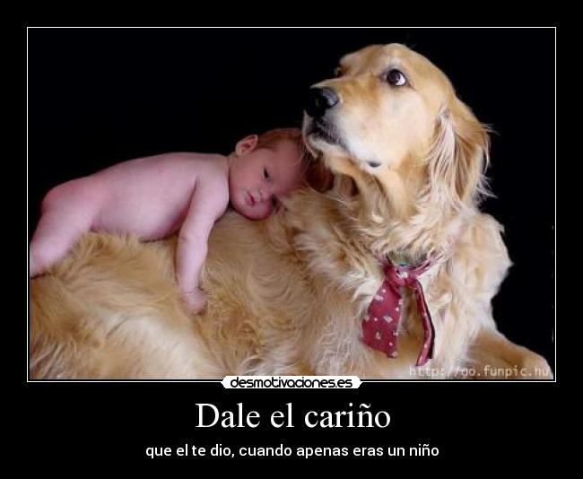 Dale el cariño - 