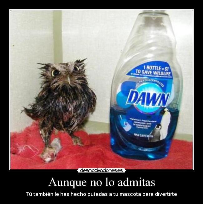 carteles albertop desmotivaciones