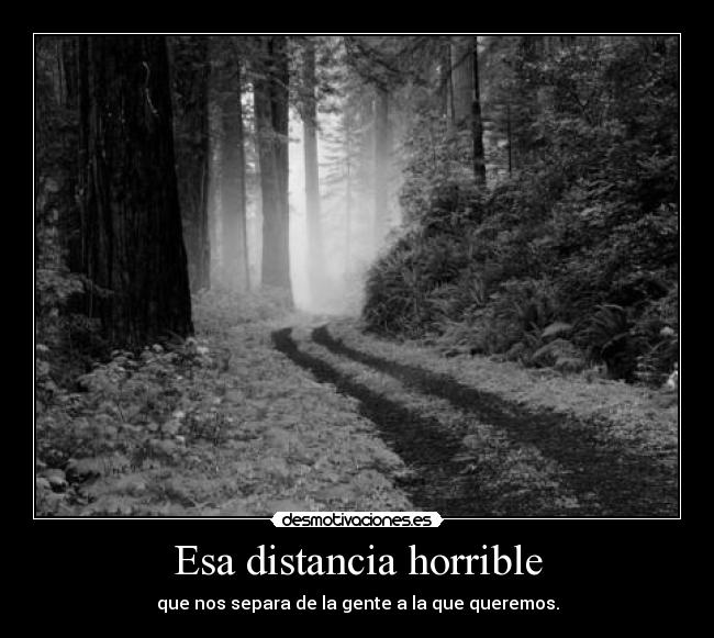 Esa distancia horrible - 