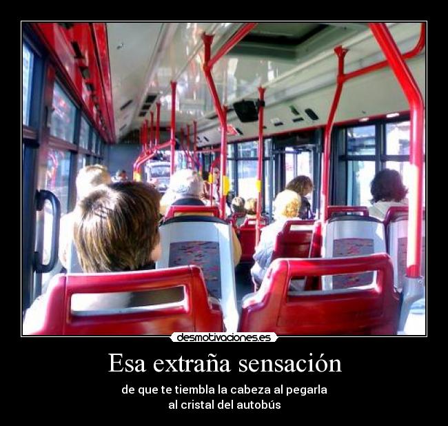 Esa extraña sensación - de que te tiembla la cabeza al pegarla
al cristal del autobús