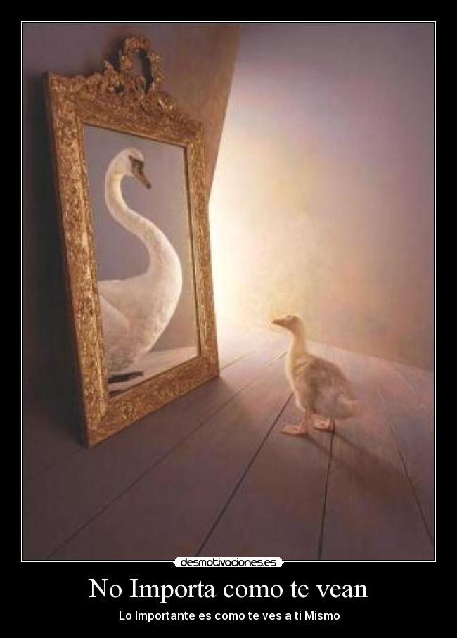 No Importa como te vean - Lo Importante es como te ves a ti Mismo