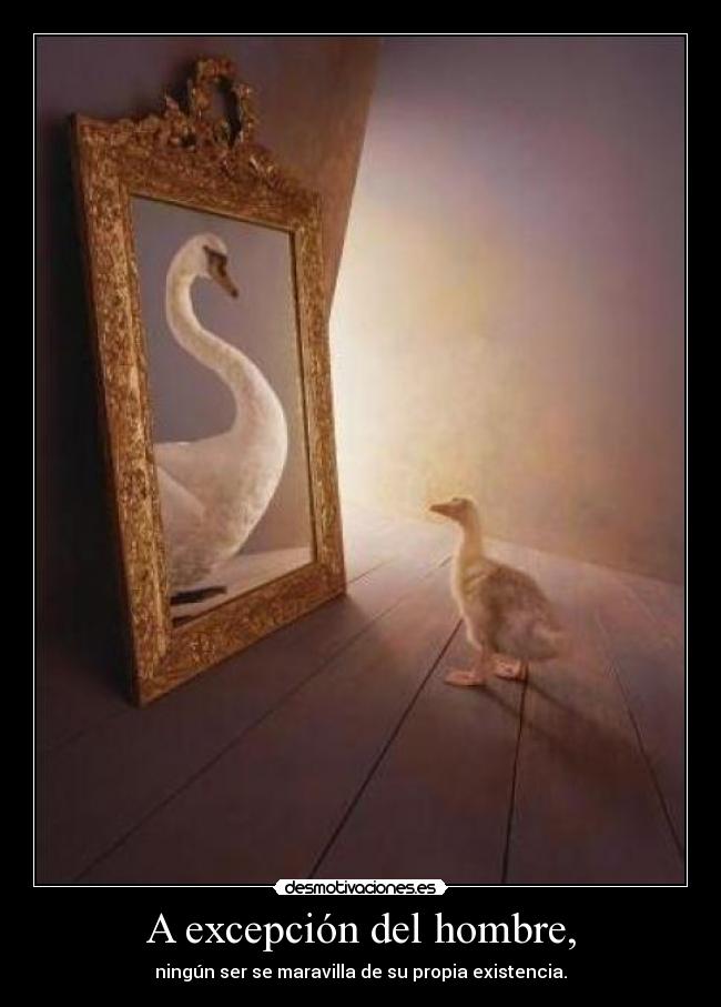 A excepción del hombre, - ningún ser se maravilla de su propia existencia.