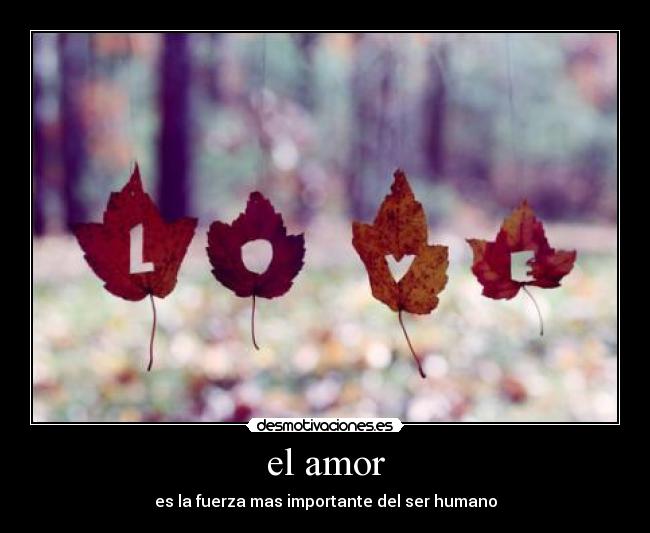 el amor - 