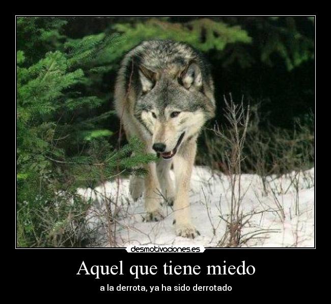 Aquel que tiene miedo - a la derrota, ya ha sido derrotado