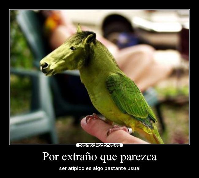 Por extraño que parezca -