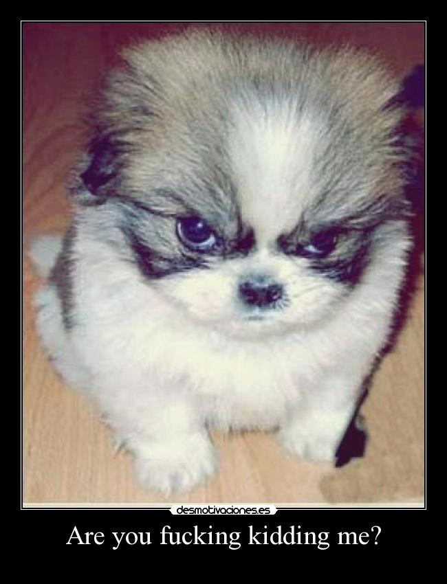 Are you fucking kidding me? -