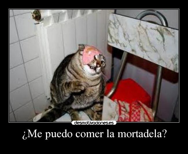 ¿Me puedo comer la mortadela? -