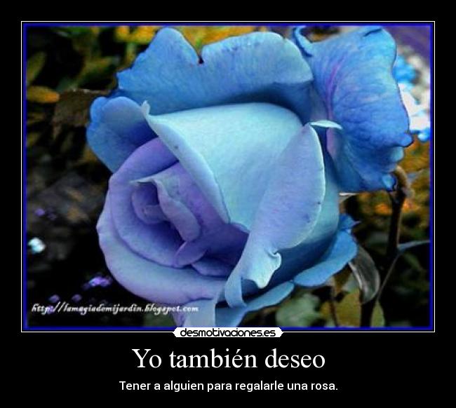Yo también deseo - Tener a alguien para regalarle una rosa.