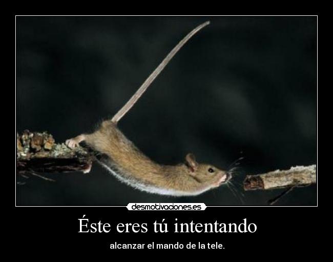 carteles lamask8 comprandoelpanmelomontoconlavecina irca hostia nikod back desmotivaciones